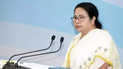  Mamata Banerjee reveals what happened during Bengal car accident