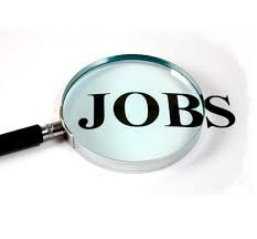 Reliance Jobs Delhi – 271903 Fresher Job Vacancies