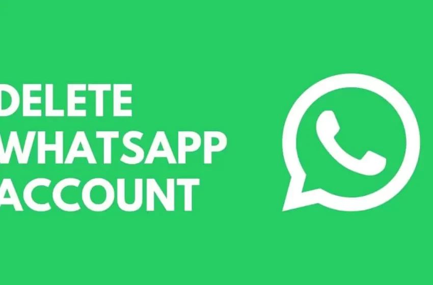  WhatsApp Reportedly Rollouts Meta AI chatbot to users in India
